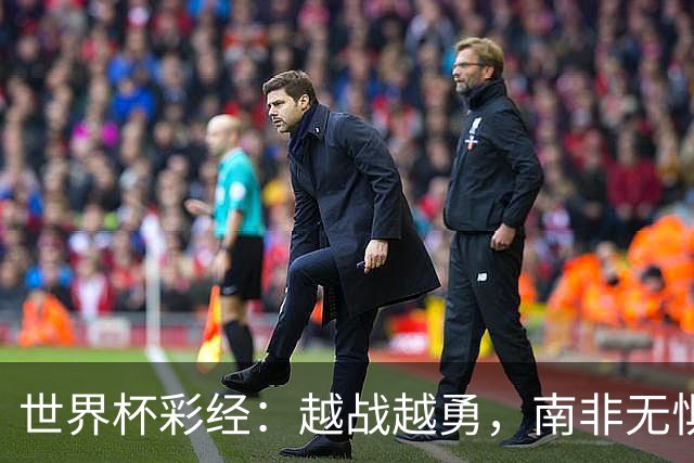 世界杯彩经：越战越勇，南非无惧加拿大