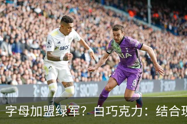 字母加盟绿军？白巧克力：结合现有打法 我更愿意保留双探花组合