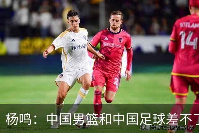 杨鸣：中国男篮和中国足球差不了太多，没有气场，失去了绝对优势