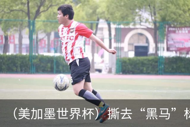 （美加墨世界杯）撕去“黑马”标签 摩洛哥带着非洲足球的突破离场